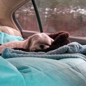 Meet your Posher, Lona